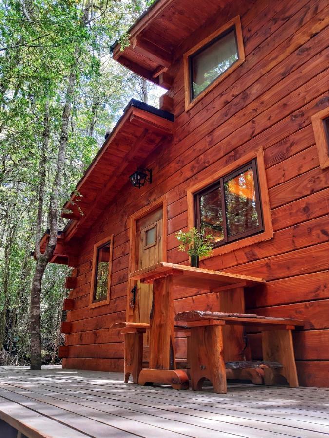 Cabanas Bosque Milenario Conaripe Exterior photo